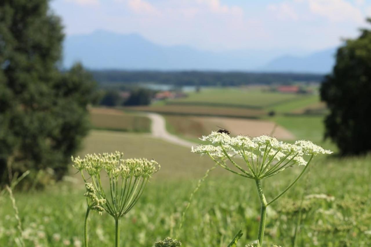 Ferienhof Moyer Höslwang Esterno foto